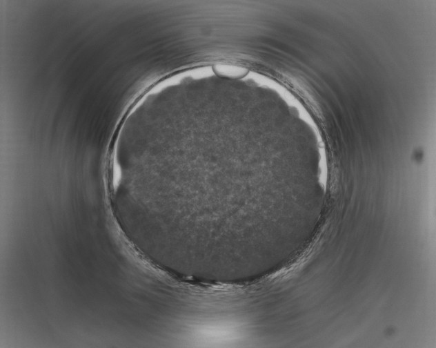 X0000116780899201001281212