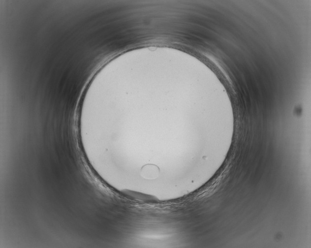 X0000116780900201001281212