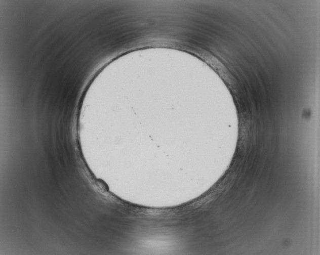 X0000116780904201001281212