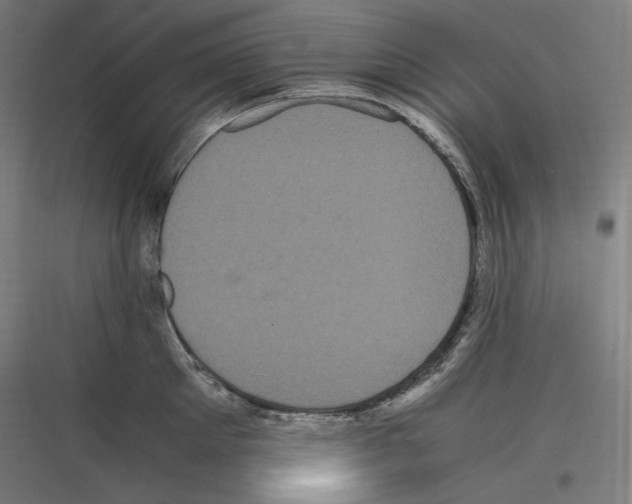 X0000116780905201001281212