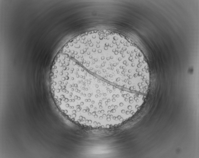 X0000116780906201001281212