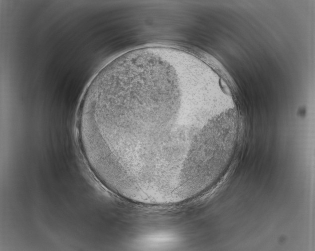 X0000116780908201001281212