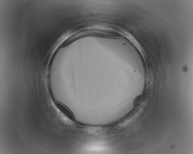 X0000116780909201001281212