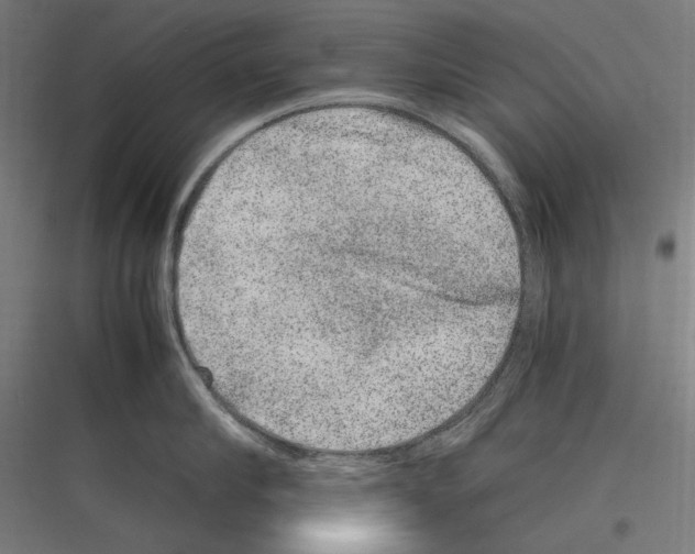 X0000116780910201001281212