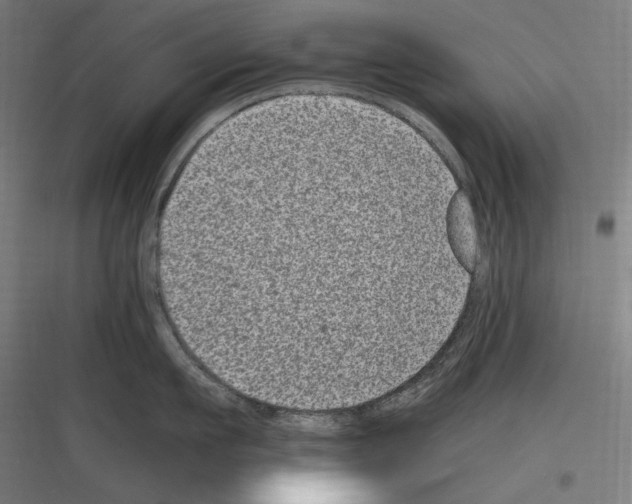 X0000116780911201001281212