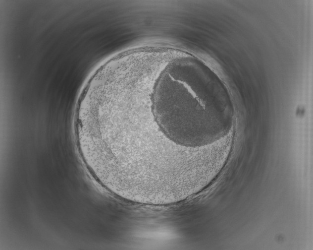 X0000116780912201001281212