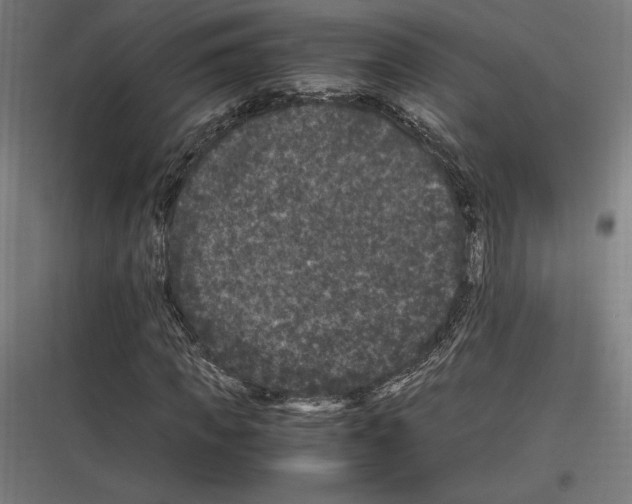 X0000116780917201001281211