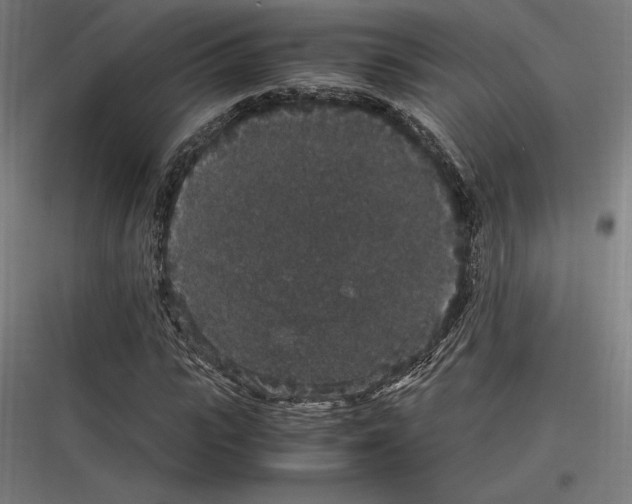 X0000116780919201001281211