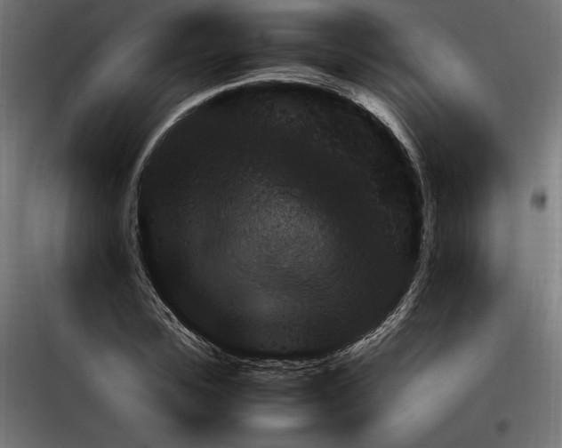 X0000116780923201001281211