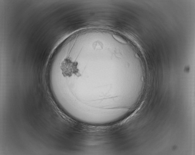 X0000116780925201001281211