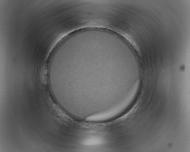 X0000116780926201001281211