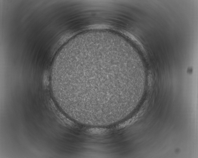 X0000116780929201001281211