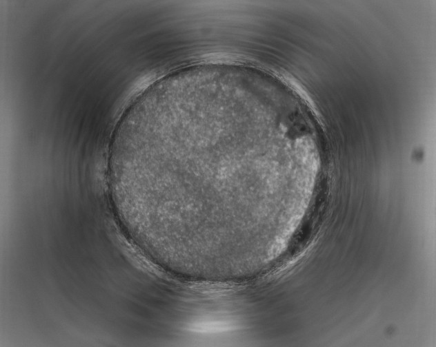 X0000116780930201001281211