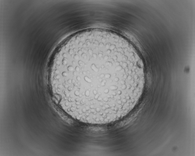 X0000116780931201001281211