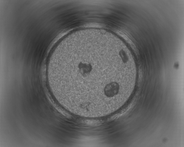 X0000116780933201001281211