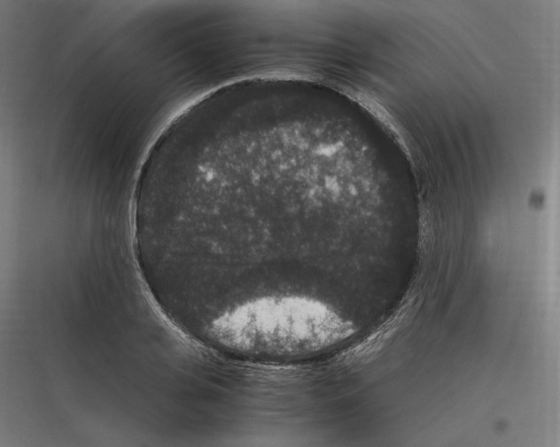 X0000116780935201001281211