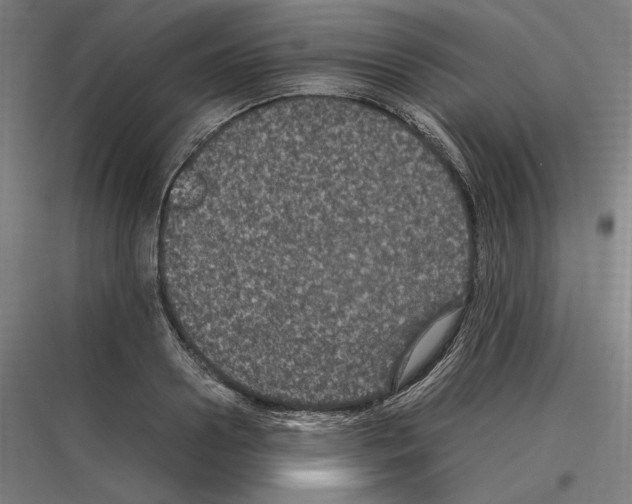 X0000116780938201001281211