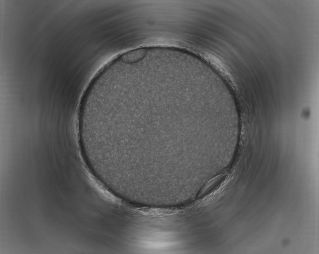 X0000116780942201001281211