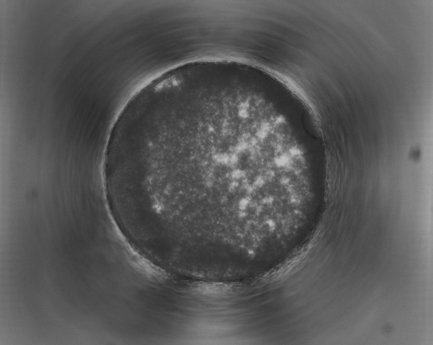 X0000116780943201001281211