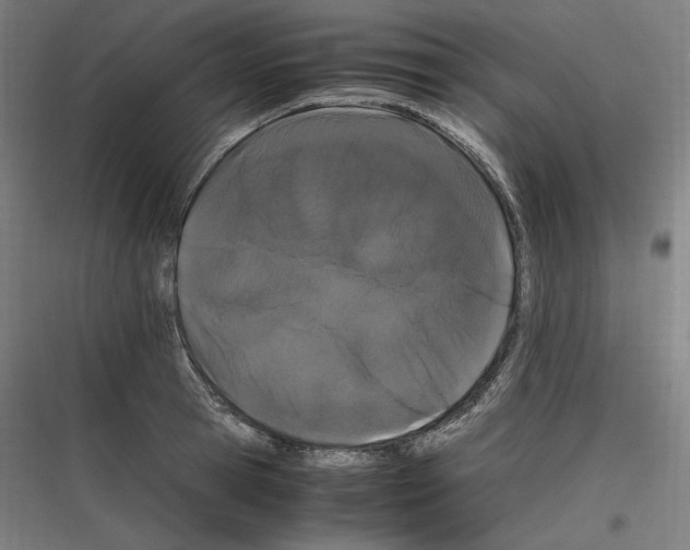 X0000116780945201001281211