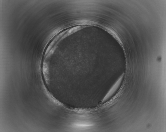 X0000116780946201001281211