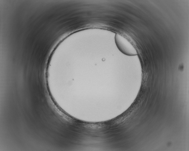 X0000116780947201001281211