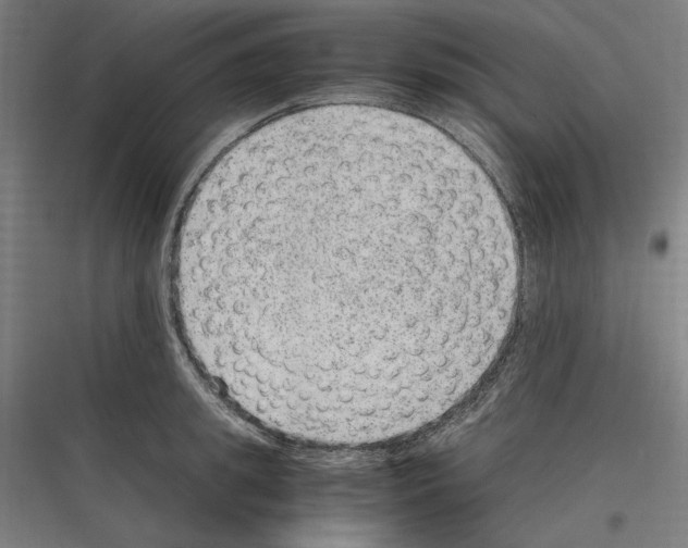 X0000116780949201001281211