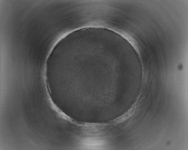 X0000116780950201001281211