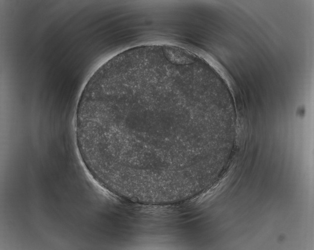 X0000116780951201001281211