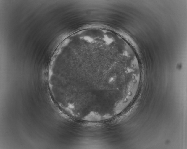 X0000116780953201001281212