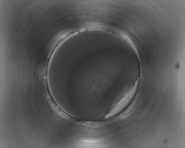 X0000116780954201001281212