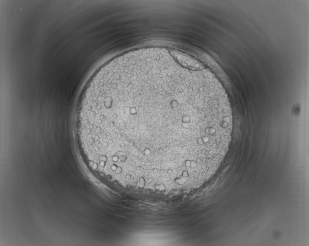 X0000116780955201001281212