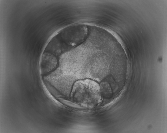 X0000116780957201001281212