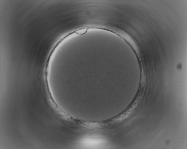 X0000116780958201001281212