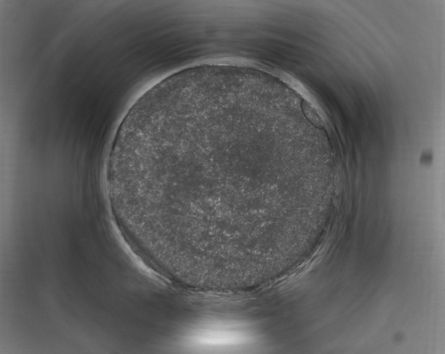 X0000116780959201001281212