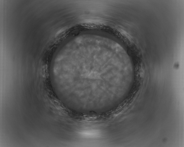 X0000116780965201001281211