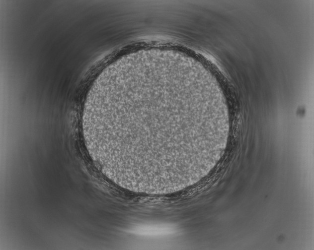 X0000116780967201001281211