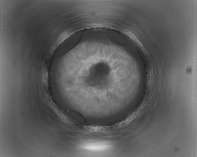 X0000116780969201001281211