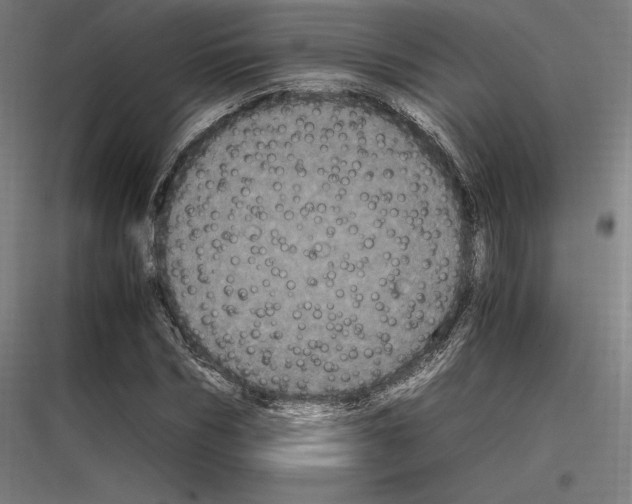 X0000116780970201001281211