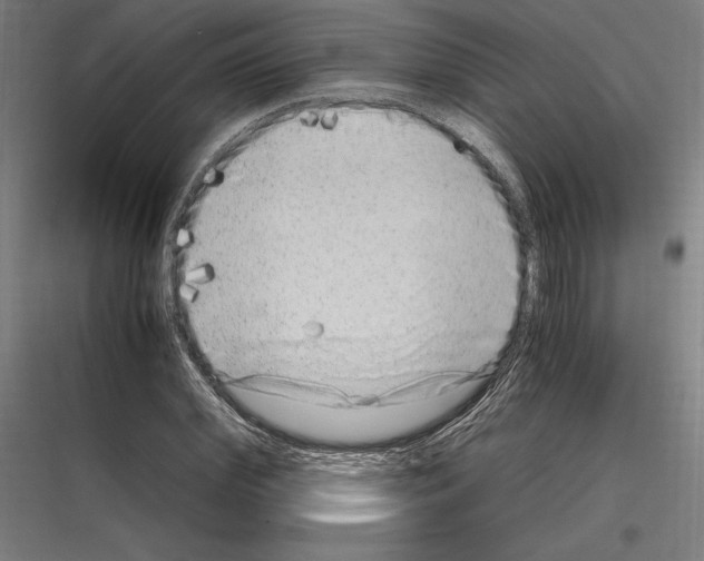 X0000116780972201001281211