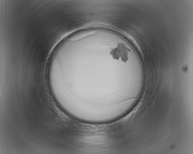 X0000116780973201001281211