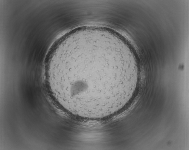 X0000116780974201001281211