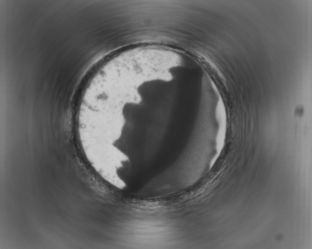 X0000116780975201001281211