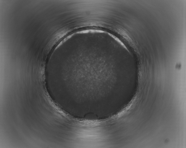 X0000116780977201001281211