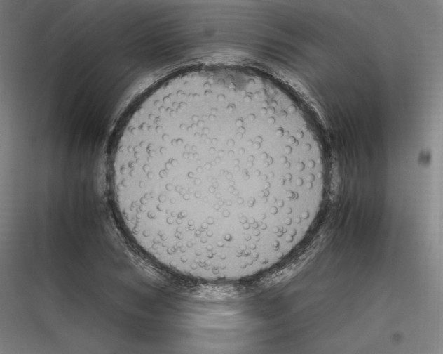 X0000116780978201001281211