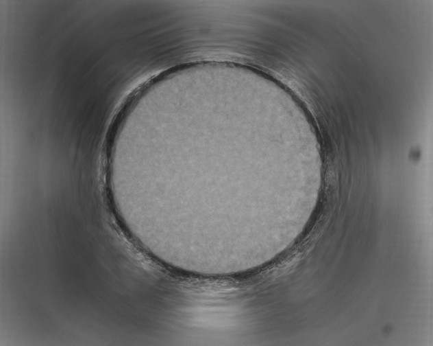 X0000116780979201001281211