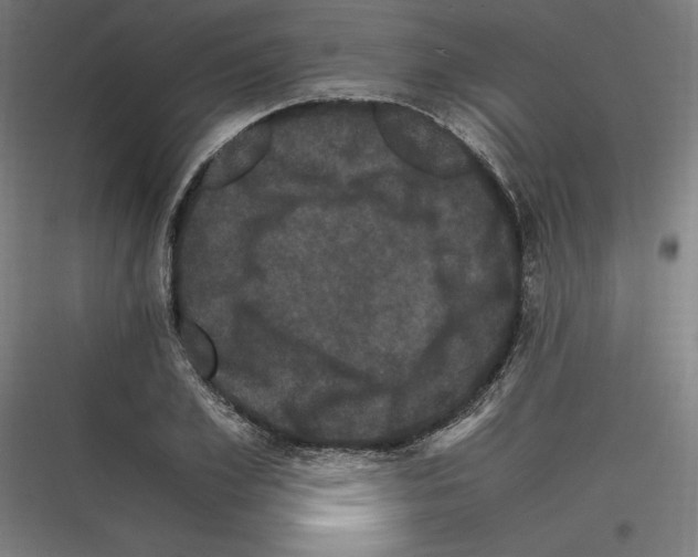 X0000116780981201001281211