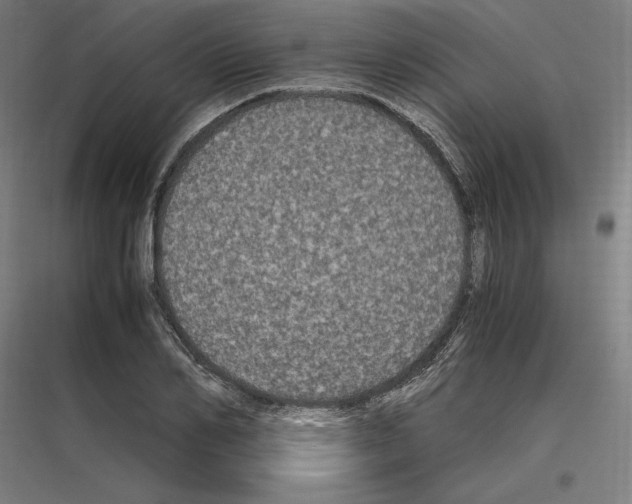 X0000116780982201001281211