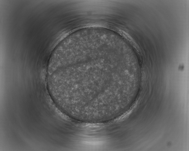 X0000116780985201001281211