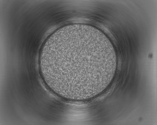 X0000116780986201001281211